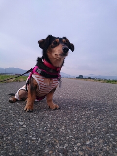20160624121757086.jpg
