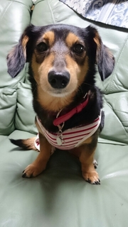 20170409214125781.jpg