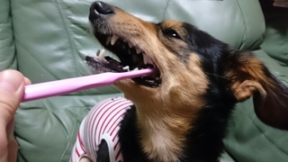 20170409214240418.jpg