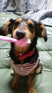 20170409214314179.jpg