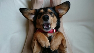 20170509151109596.jpg