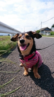 20170618111236926.jpg
