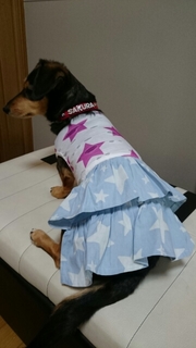 20170620130632752.jpg