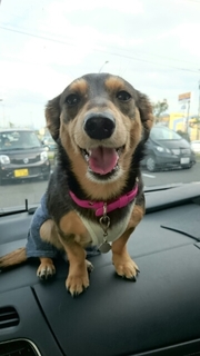 20170906154014094.jpg
