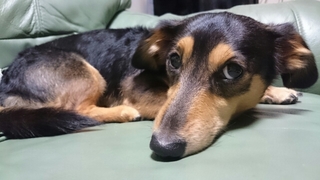 20171031044703603.jpg