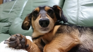 20171106085151415.jpg
