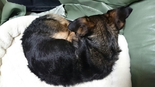 20171106085352245.jpg