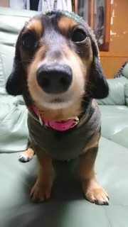 20171129234749707.jpg