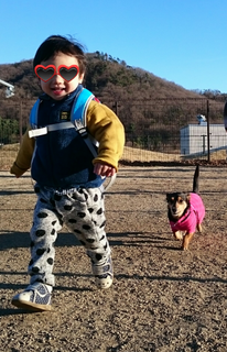 20171231115302885.png