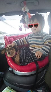 20180212172217929.jpg