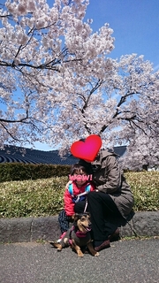 20180416111338372.jpg