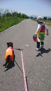 20180529152116702.jpg