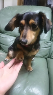 20180601144635975.jpg