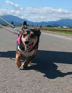 20180618210940126.jpg