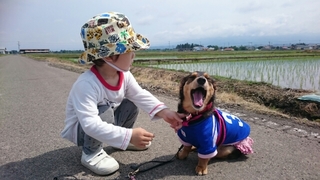 20180705001438912.jpg