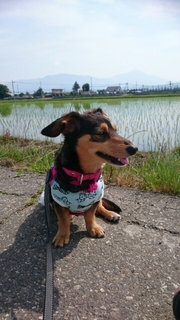 20180811105548506.jpg
