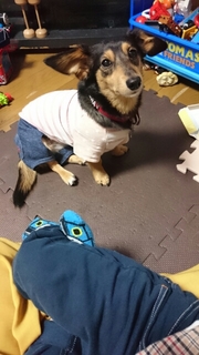 20180923141518678.jpg