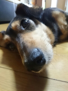 20190621102645112.jpg