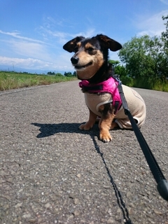 20190621103154680.jpg
