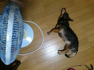20190621103235810.jpg