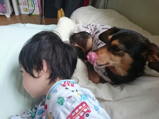 20190621103704900.jpg